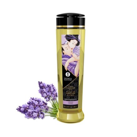 Shunga masszázs olaj  - Levendula 240 ml