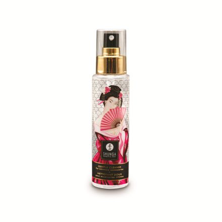 Shunga - Gentle Toy Cleaner 100ml